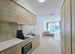 Sennett Residence (D13), Condominium #559343661